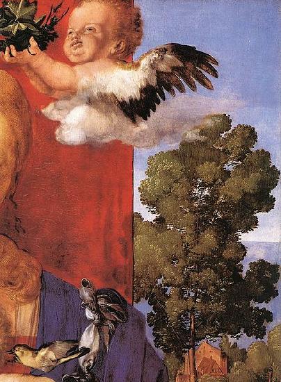 Albrecht Durer Madonna with the Siskin oil painting picture